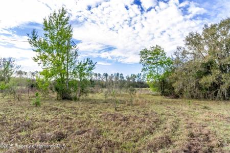 0 Atlantis Lane, Brooksville, فلوريدا 34601, الولايات المتحدة