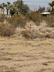5520 Luna Road, Phelan, California 92371