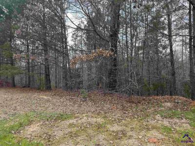 324 Wilsons Creek Bend, Bonaire, Georgia 31005, USA