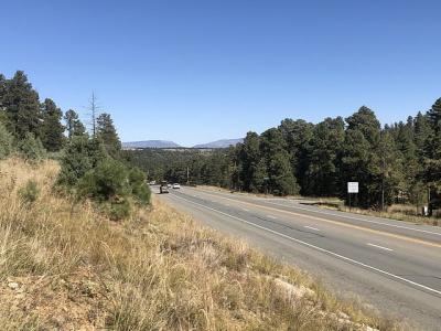- NM 48, Alto, New Mexico 88312