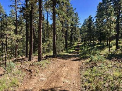 - NM 48, Alto, New Mexico 88312