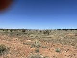 L262 Fenceline, Ancho, New Mexico 88301