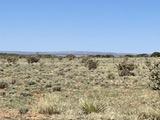L262 Fenceline, Ancho, New Mexico 88301