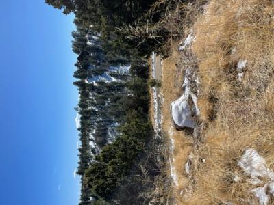 L1 High Ridge Trl., Alto, New Mexico 88345, HOA KỲ