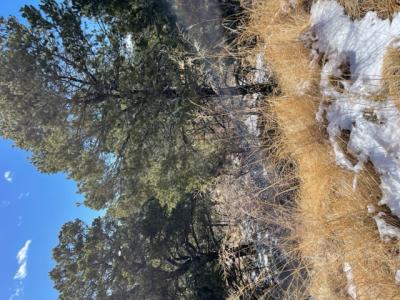 L1 High Ridge Trl., Alto, Novo México 88345, Estados Unidos