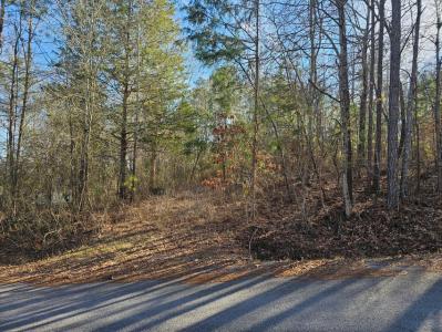 Lot 8 Kittiwake Place NW, Georgetown, Tennessee 37336, USA