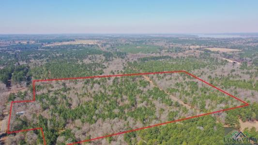 569 Whippoorwill Drive, Jefferson, טקסס 75657, ארצות הברית של אמריקה 