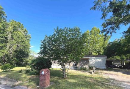125 Molino Rd, Molino, Florida 32577, Stati Uniti