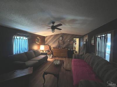 125 Molino Rd, Molino, Florida 32577, Stati Uniti