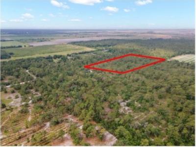 00 Taylor Dr, Bradenton, Floride 34211, États-Unis
