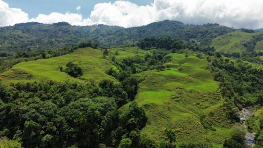 Río Nuevo Pérez Zeledón, San José 11910, Costa Rica