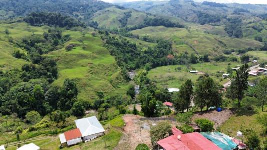 Río Nuevo Pérez Zeledón, San José 11910, Costa Rica