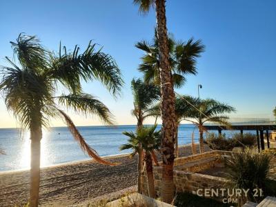 Shëngjin, Shëngjin, Albania