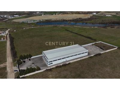 Kombinat, Tirana, Albania