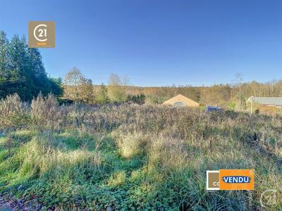 Allée des Epicéas, Roly, Bélgica