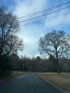 00 Blake Cove Lane, Greenbrier, 阿肯色州 72058, 美國