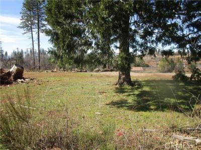 5347 Edgewood Lane, Paradise, California 95969, USA