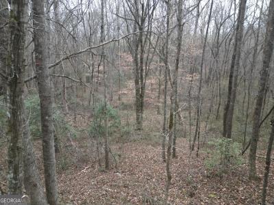 281 Grindstone Creek Dr., Clarkesville, Georgia 30523, USA