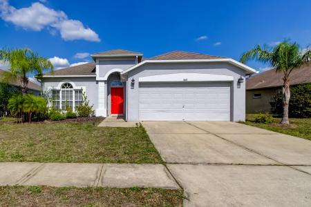 9407 Black Thorn Lp, Land O' Lakes, Florida 34638, USA