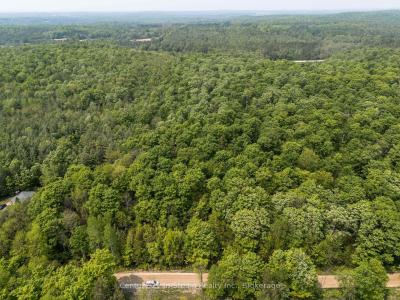 LT 28 CONCESSION 14 NDR N/A, West Grey, Ontario N0G 1S0, Kanada