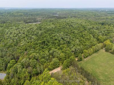 LT 28 CONCESSION 14 NDR N/A, West Grey, Ontario N0G 1S0, Kanada