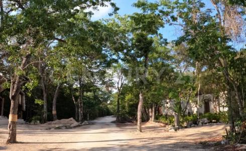 Chemuyil Aldea Coral 3962,, Solidaridad / Riviera Maya, Quintana Roo 77710, Mexico