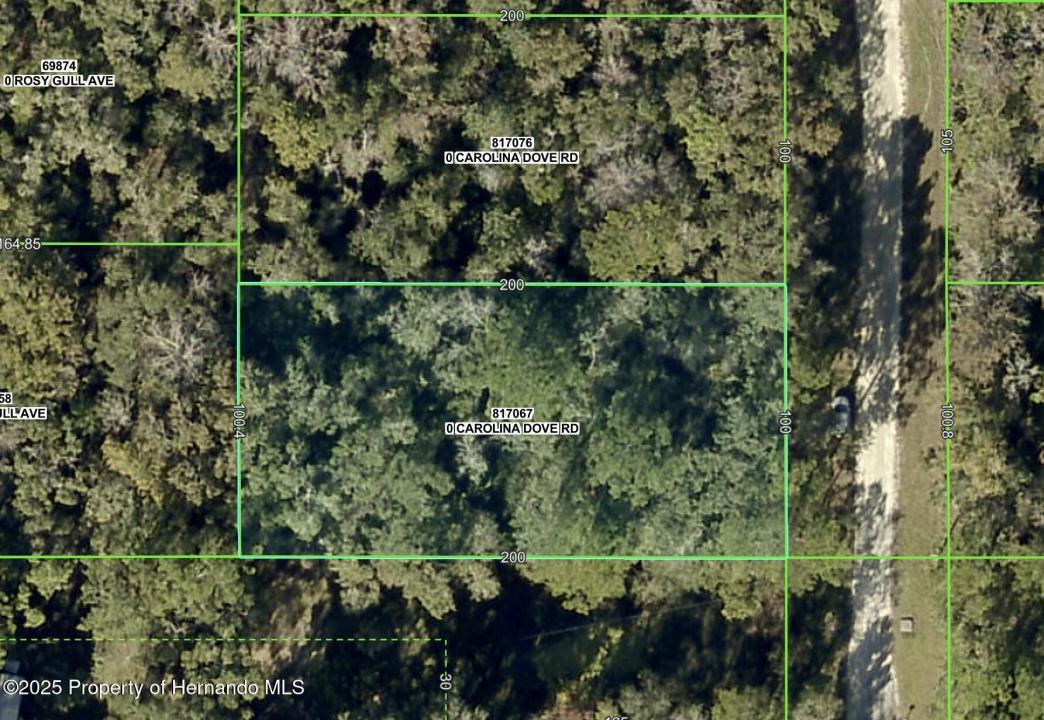Lot 3 Carolina Dove Road, Weeki Wachee, 플로리다 34614, 미국