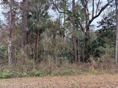 Lot 3 Carolina Dove Road, Weeki Wachee, 플로리다 34614, 미국