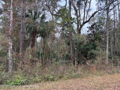 Lot 3 Carolina Dove Road, Weeki Wachee, 플로리다 34614, 미국