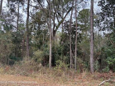 Lot 3 Carolina Dove Road, Weeki Wachee, 플로리다 34614, 미국