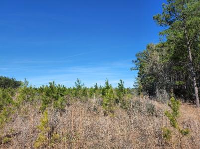 26827 US 59 N, Corrigan, Texas 75939, USA