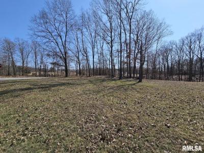 Lot 1 E Whipporwill Road, Mt Vernon, Illinois 62864