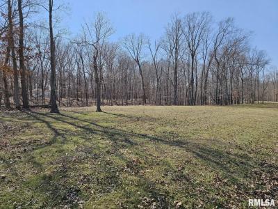 Lot 1 E Whipporwill Road, Mt Vernon, Illinois 62864