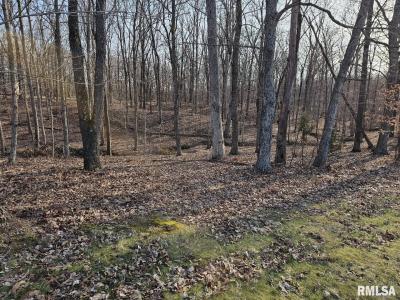 Lot 1 E Whipporwill Road, Mt Vernon, Illinois 62864