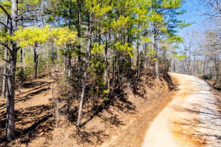 0 County Road 269, Wedowee, 阿拉巴馬州 36278, 美國