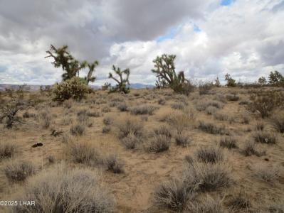 11844 S Desert View Rd, Yucca, Arizona 86438, USA