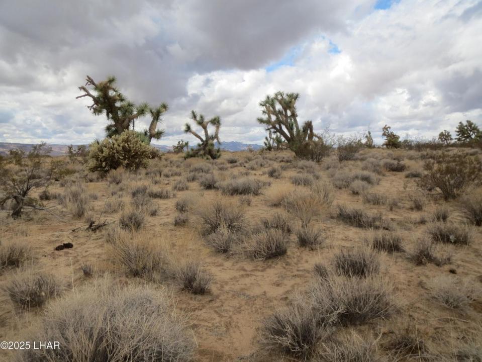 11844 S Desert View Rd, Yucca, Arizona 86438, États-Unis