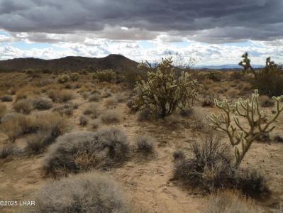11844 S Desert View Rd, Yucca, Arizona 86438, États-Unis