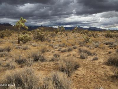 11844 S Desert View Rd, Yucca, Arizona 86438, États-Unis