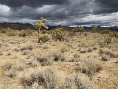 11844 S Desert View Rd, Yucca, Arizona 86438, États-Unis