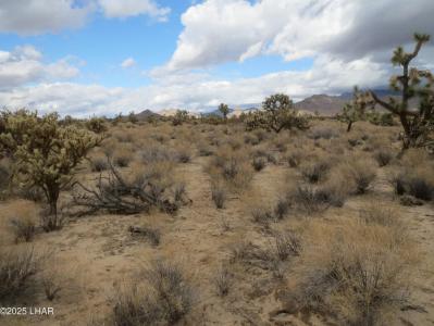 11844 S Desert View Rd, Yucca, Arizona 86438, États-Unis