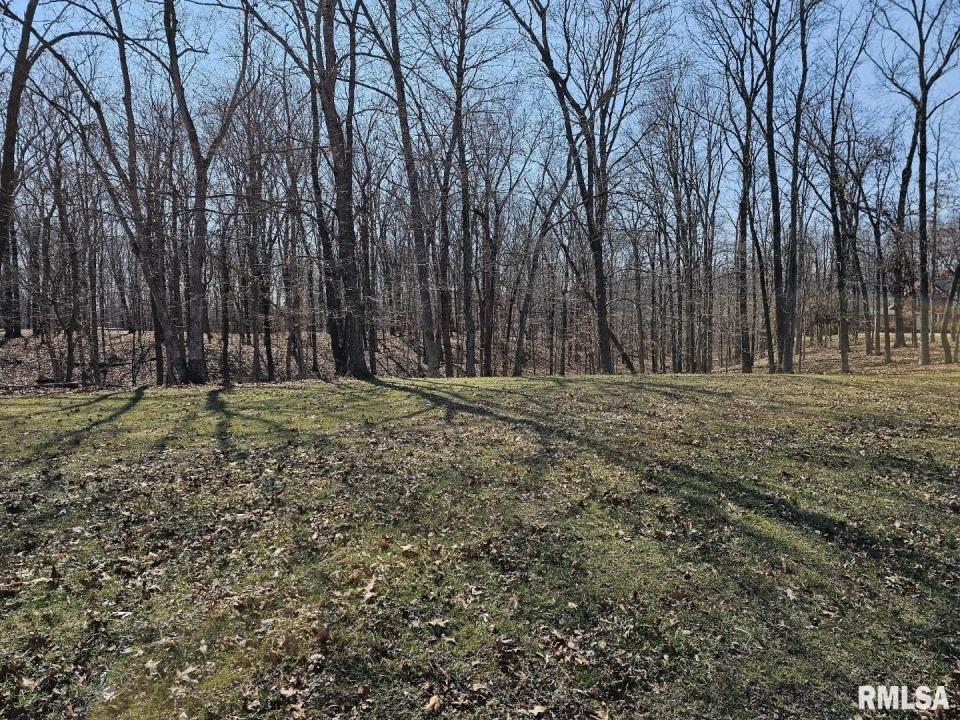 Lot 2 E Whipporwill Road, Mt Vernon, Illinois 62864
