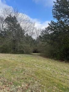 00 Noble Drive, Greenbrier, 阿肯色州 72058, 美國