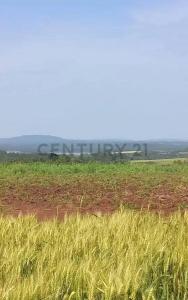 Puerto Samuhu , Nueva Alborada, Itapúa 00001, Paraguay