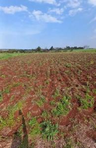 Puerto Samuhu , Nueva Alborada, Itapúa 00001, פרגוואי