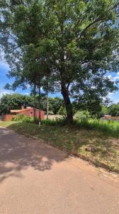 Eusebio Ayala , Eusebio Ayala, Cordillera 00001, Paraguay