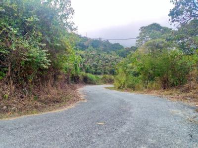La Laguna Carayaca Faltriquera, El Junko, La Guaira 00001, ベネズエラ