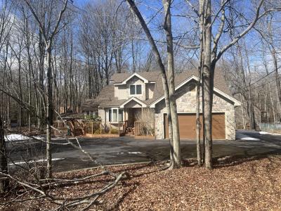 109 Minisink Drive, Pocono Lake, Pennsylvania 18347