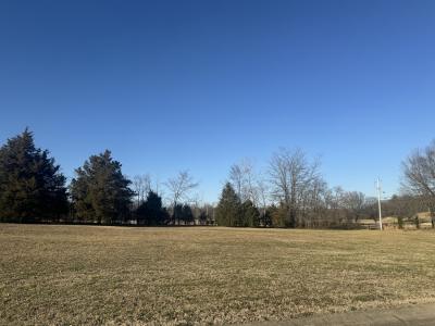 Paradise Lane Lot # 1, Poplar Bluff, Missouri 63901, Amerika Birleşik Devletleri