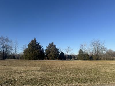 Paradise Lane Lot # 2, Poplar Bluff, Missouri 63901, Amerika Birleşik Devletleri